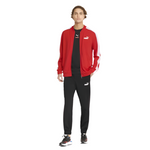 Conjunto puma