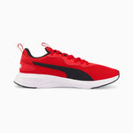 Puma incinerate