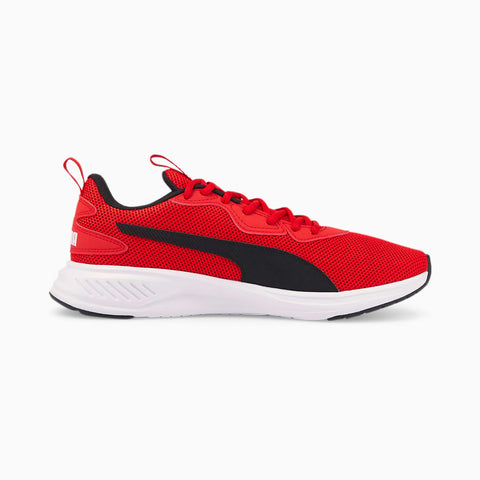 Puma incinerate