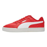 Puma caven