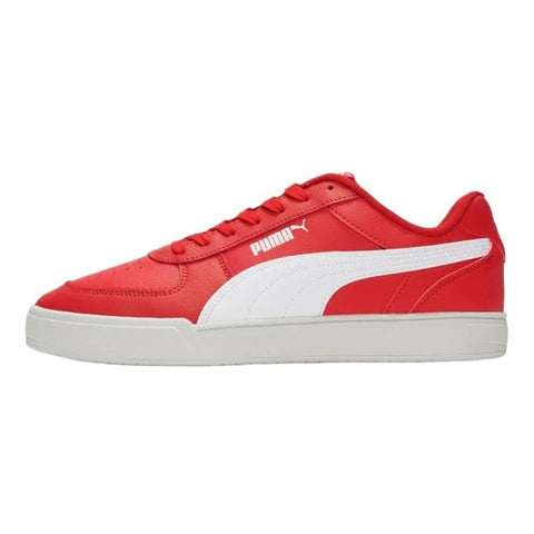Puma caven